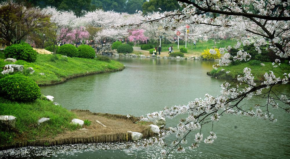 東湖漫遊  ChinaTravel 中國觀光景點