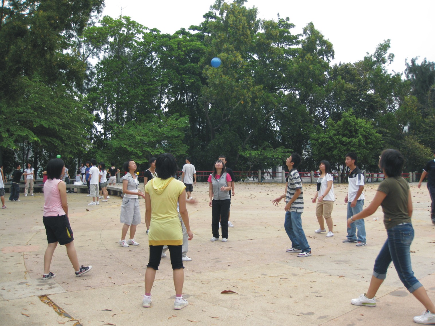 小游戏 大智慧--记深圳大学职业规划与发展协会