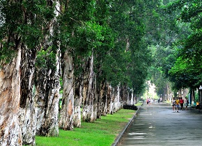 广东外语外贸大学:新增8个硕士学位授权点